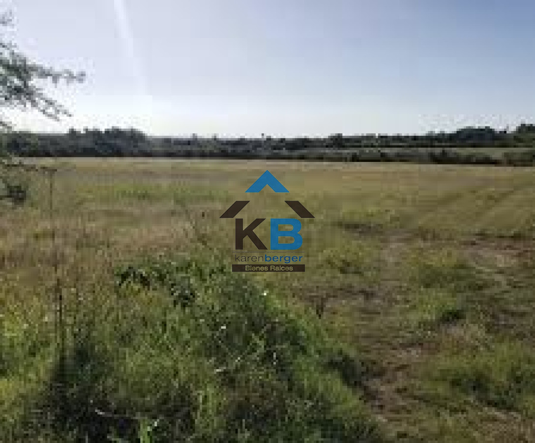 Campo Ref.417 - Campo en Paysandú, 