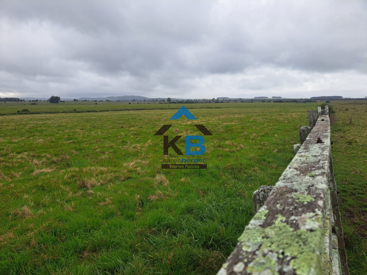 Campo Ref.623 - Campo agrícola ganadero 