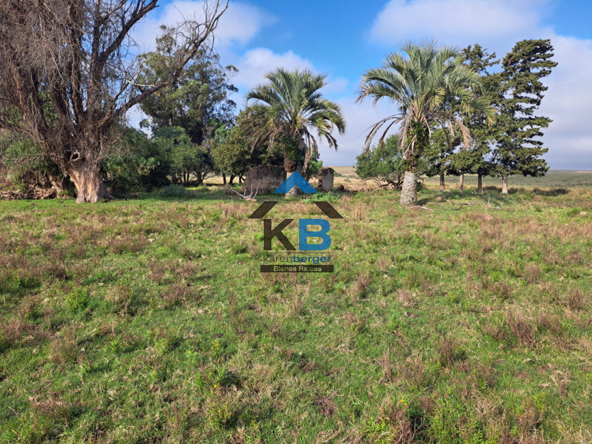 Campo Ref.634 - Venta campo José Ignacio 