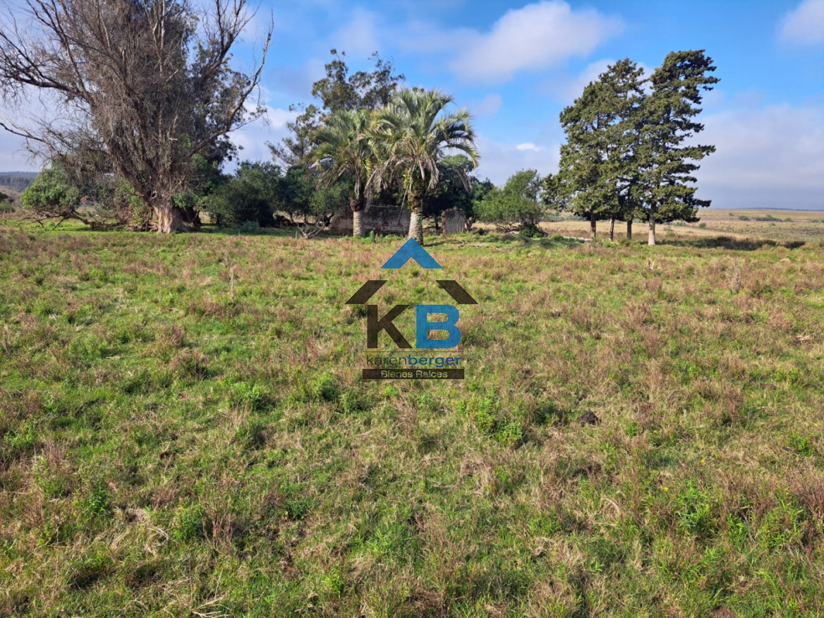 Campo Ref.634 - Venta campo José Ignacio 