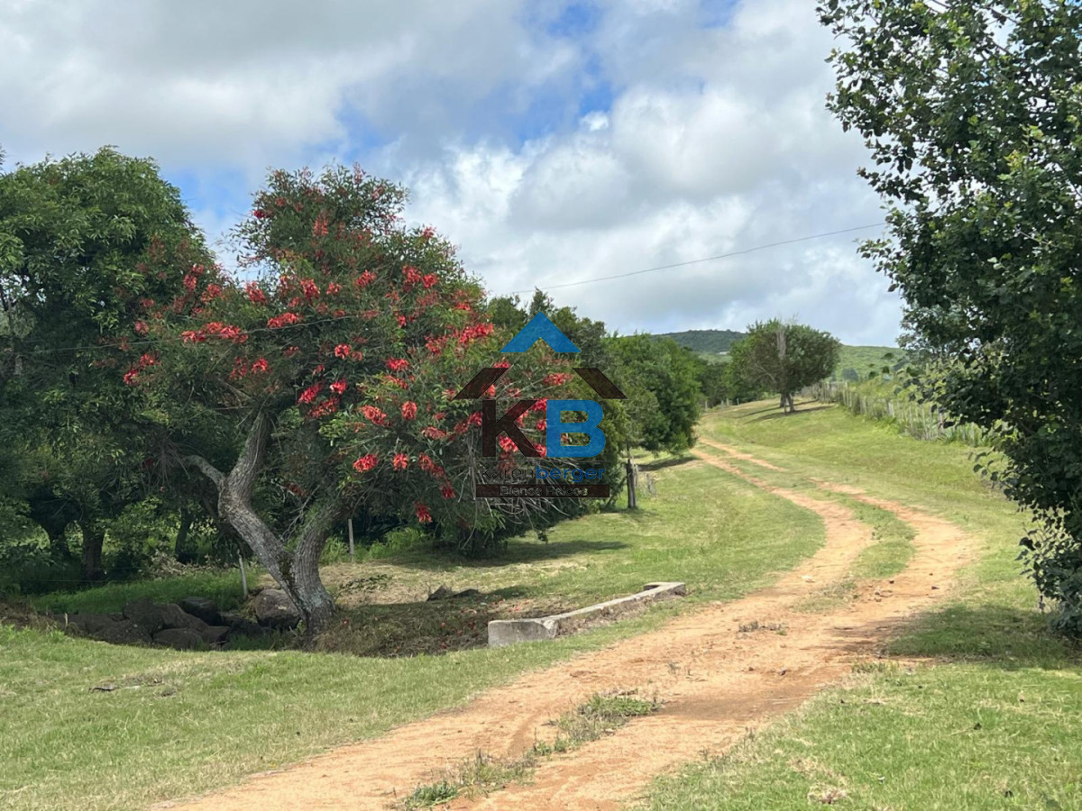 Campo Ref.649 - Campo vistas oceanicas 