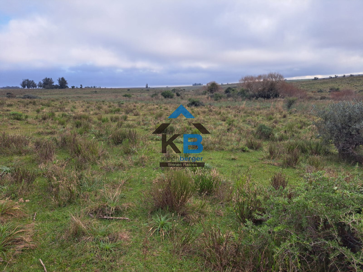 Campo Ref.634 - Venta campo José Ignacio 