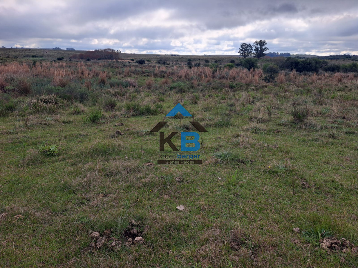 Campo Ref.634 - Venta campo José Ignacio 