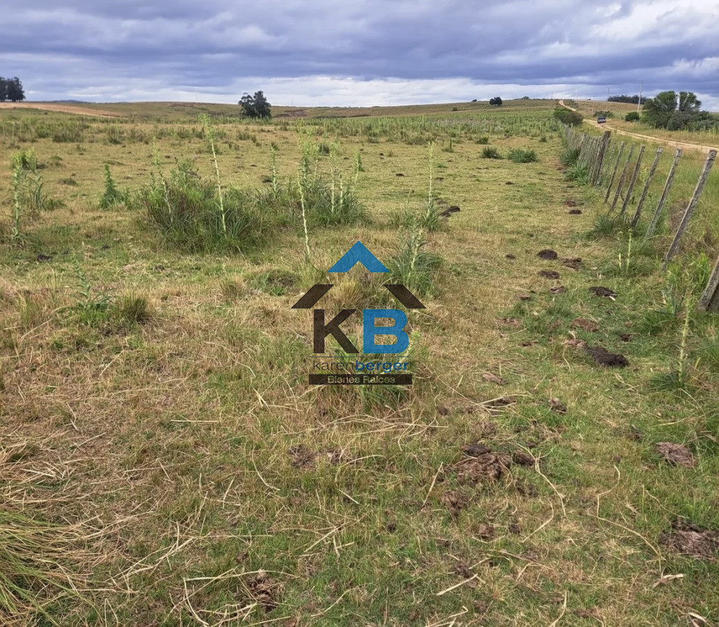 Campo Ref.628 - Vende campo 21 h José  Ignacio