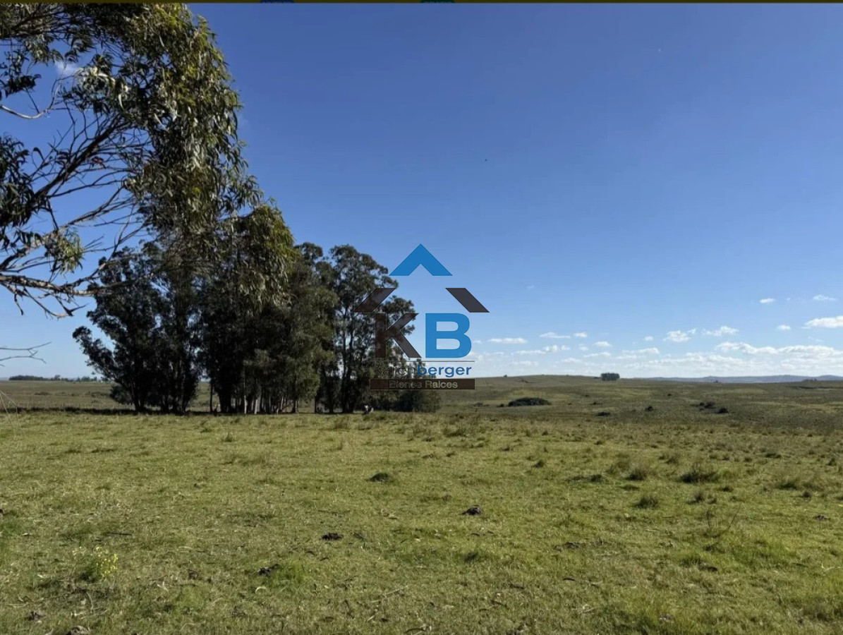 Campo Ref.677 - Venta campo José Ignacio 