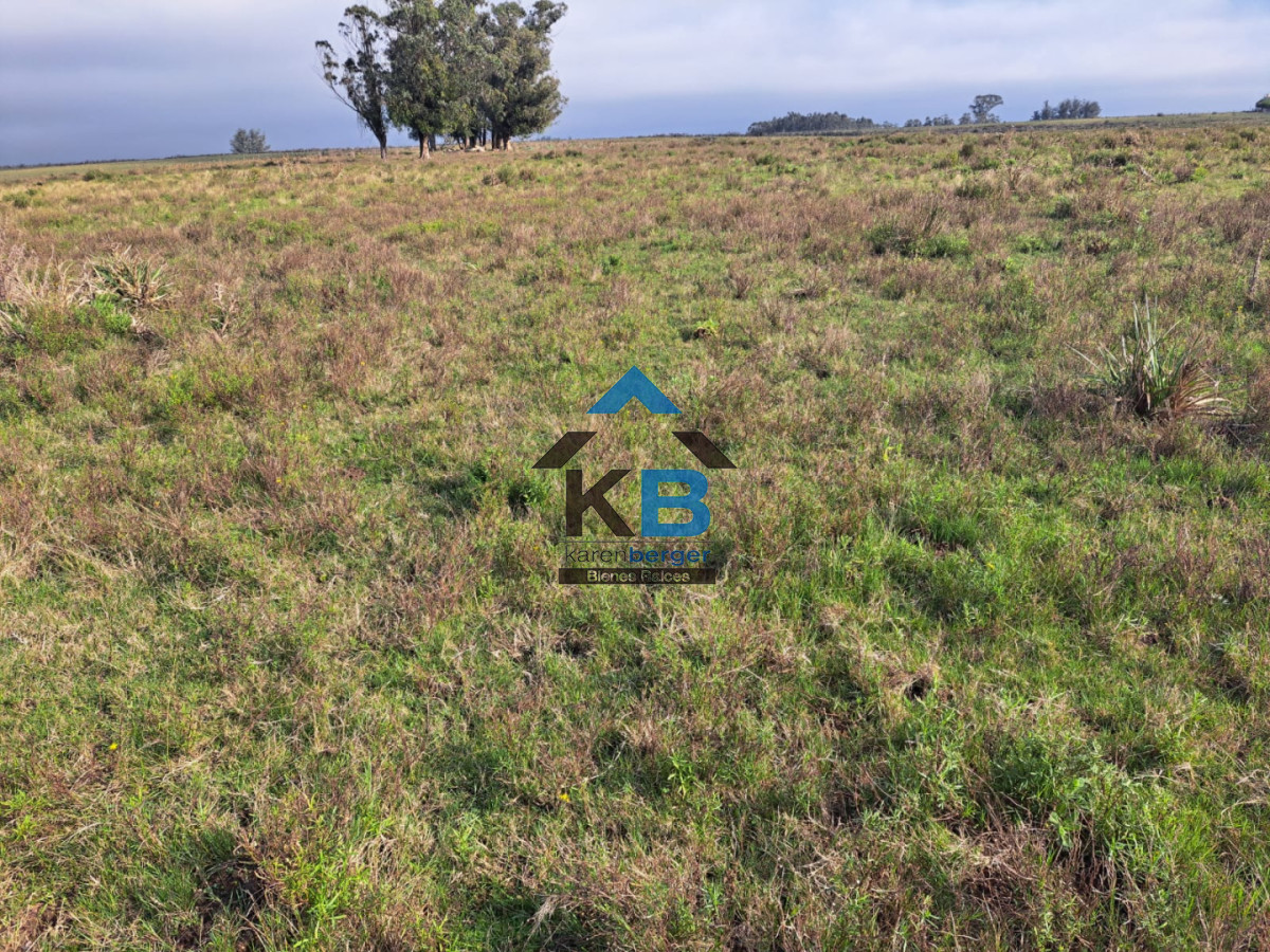 Campo Ref.634 - Venta campo José Ignacio 