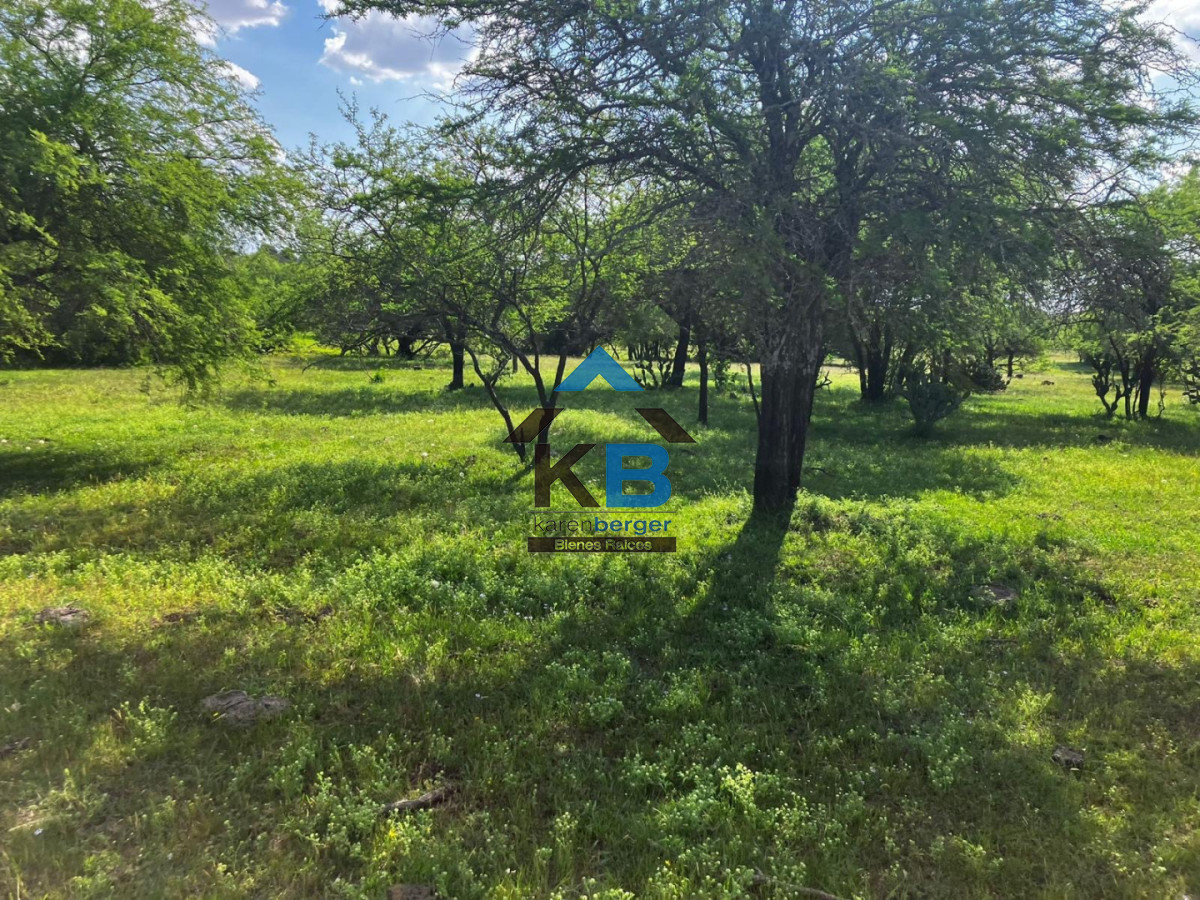 Campo Ref.684 - Campo en Paysandu Río Uruguay