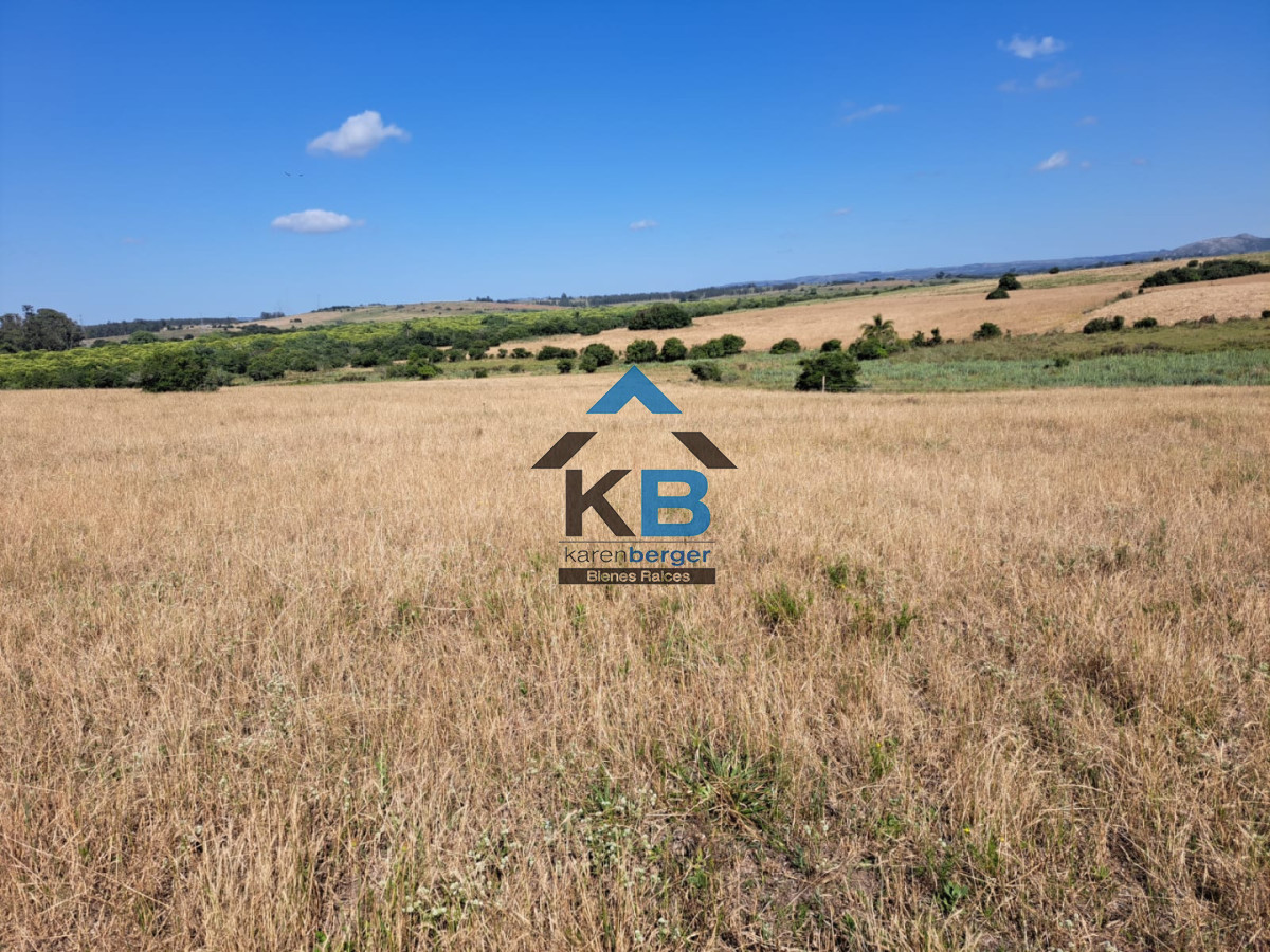 Campo Ref.620 - Venta de campo en Rocha