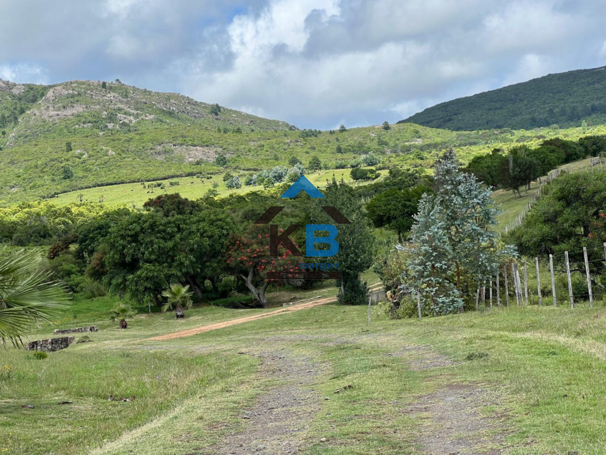 Campo Ref.649 - Campo vistas oceanicas 