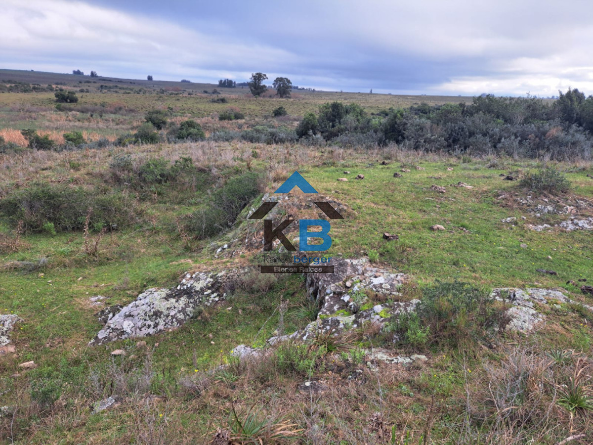 Campo Ref.634 - Venta campo José Ignacio 