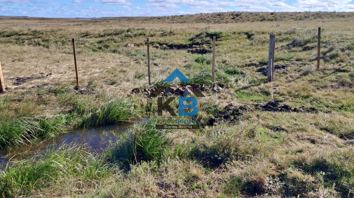 Campo Ref.580 - Venta de Campo en Paysandu 