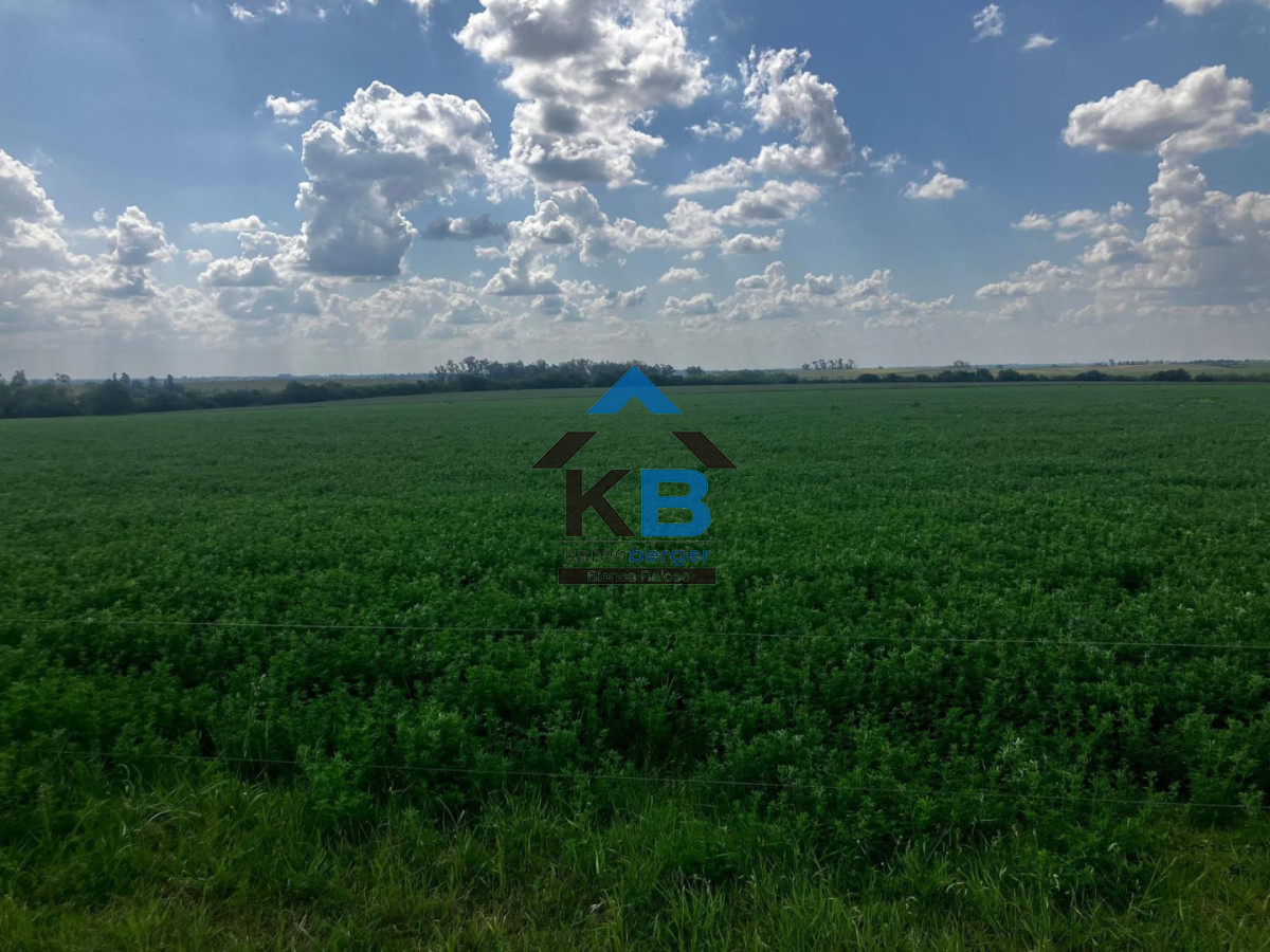 Campo Ref.684 - Campo en Paysandu Río Uruguay