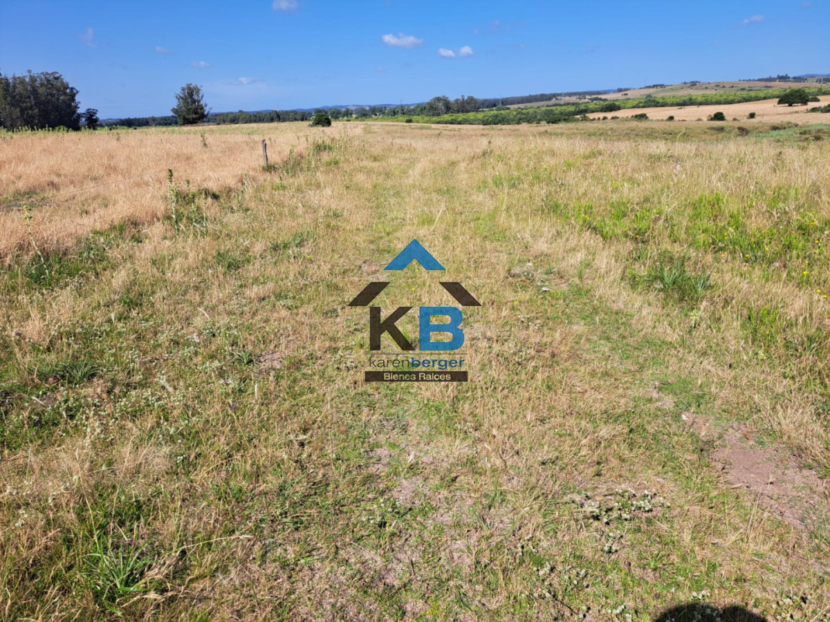 Campo Ref.620 - Venta de campo en Rocha