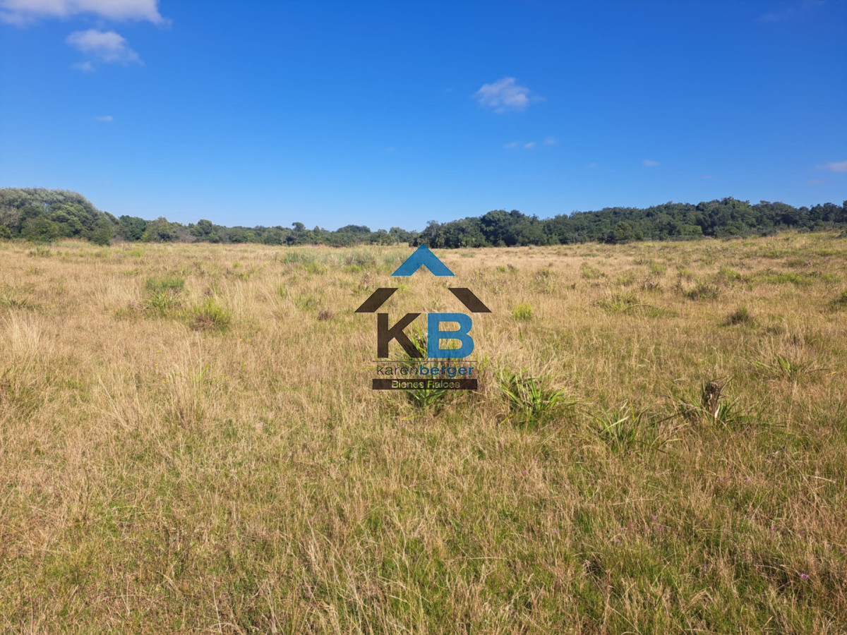 Campo Ref.625 - Campo José Ignacio 