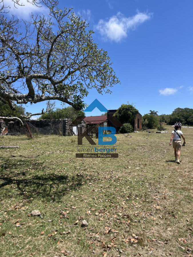 Campo Ref.586 - Campo en Castillos, 