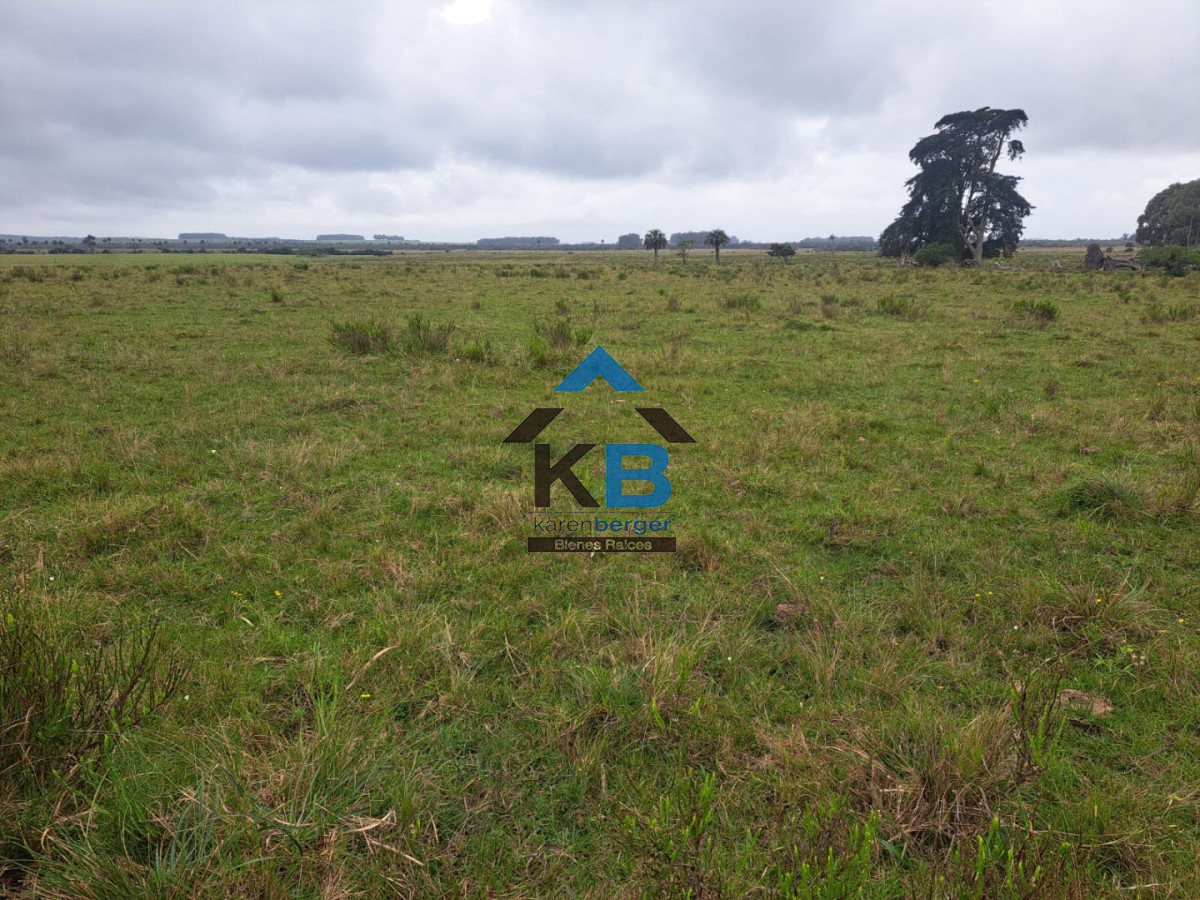 Campo Ref.623 - Campo agrícola ganadero 