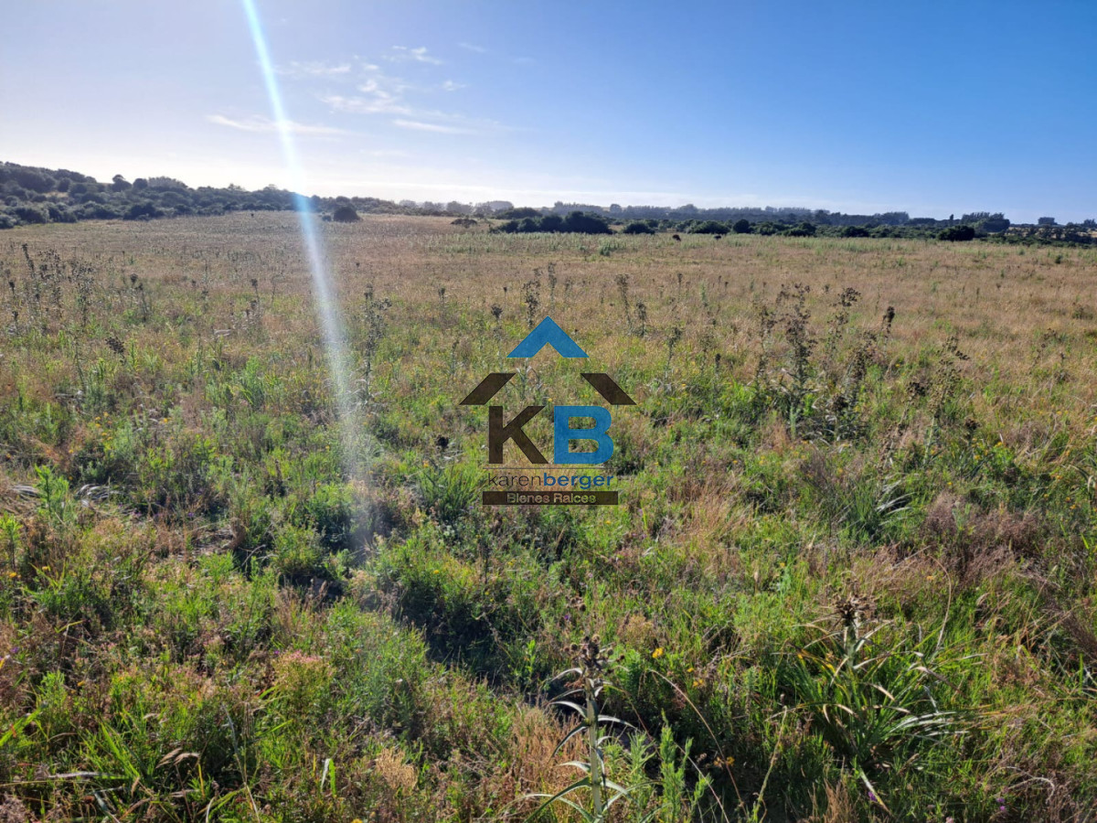 Campo Ref.625 - Campo José Ignacio 