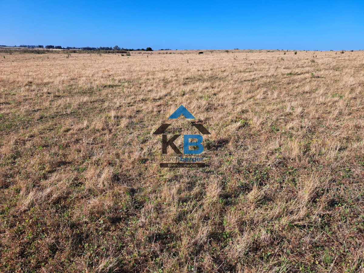 Campo Ref.625 - Campo José Ignacio 