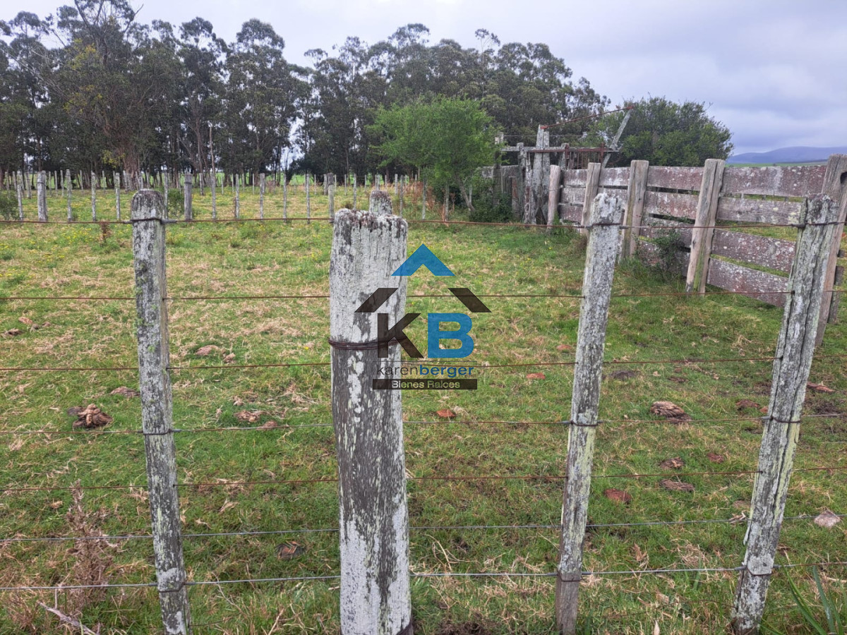 Campo Ref.623 - Campo agrícola ganadero 