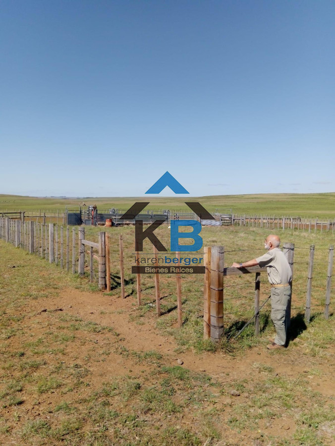 Campo Ref.580 - Venta de Campo en Paysandu 