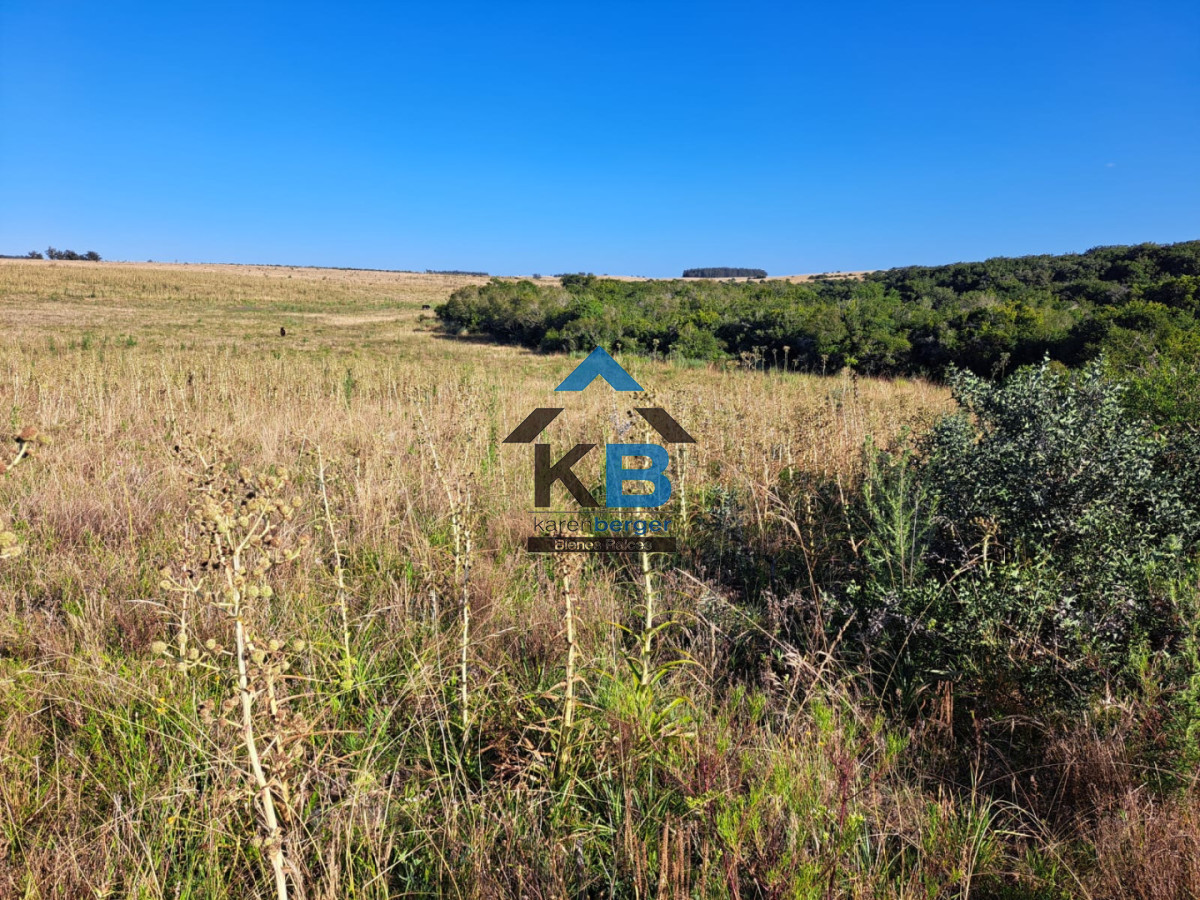 Campo Ref.625 - Campo José Ignacio 