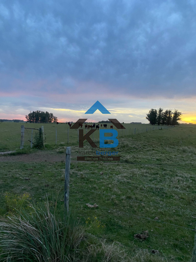 Campo Ref.632 - Campo en Jose Ignacio, 