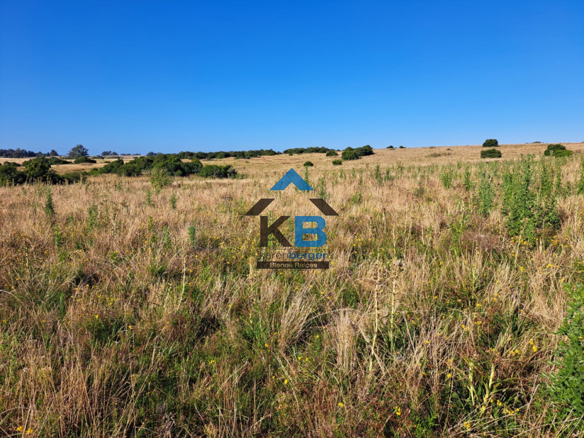 Campo Ref.625 - Campo José Ignacio 