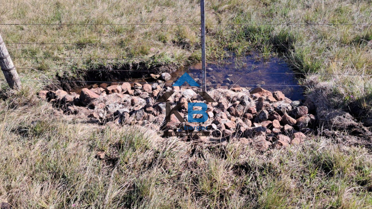 Campo Ref.580 - Venta de Campo en Paysandu 