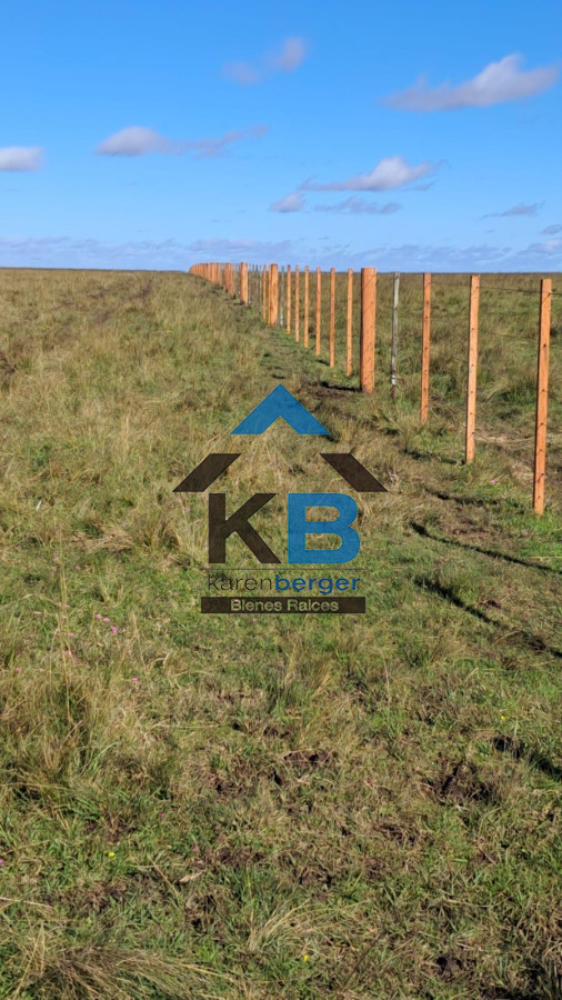 Campo Ref.580 - Venta de Campo en Paysandu 