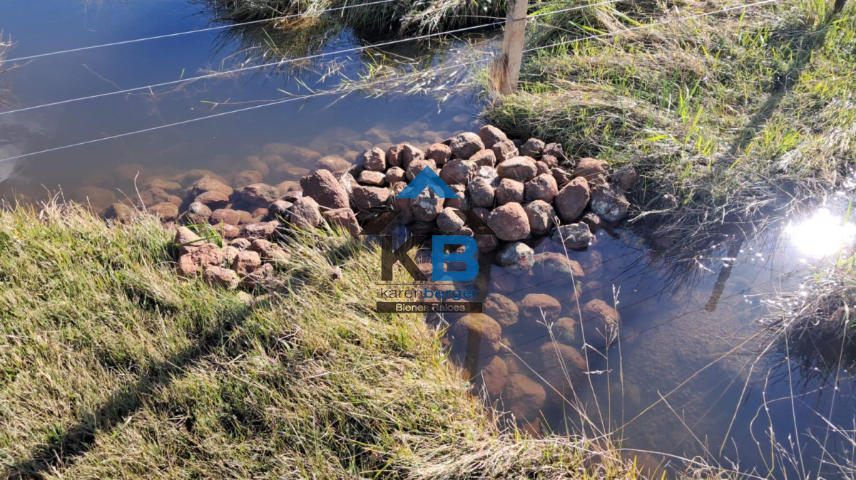 Campo Ref.580 - Venta de Campo en Paysandu 