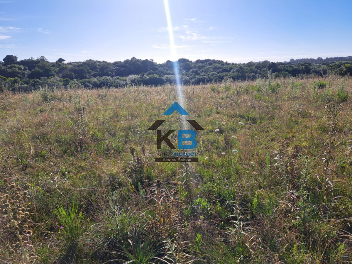 Campo Ref.625 - Campo José Ignacio 