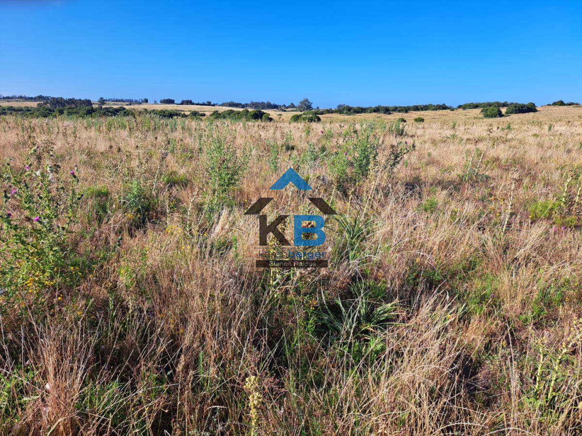 Campo Ref.625 - Campo José Ignacio 