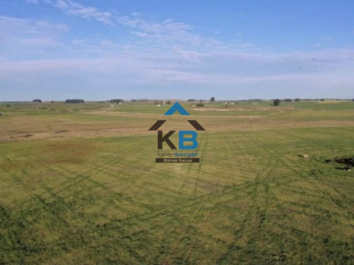 Campo Ref.418 - Campo en , 