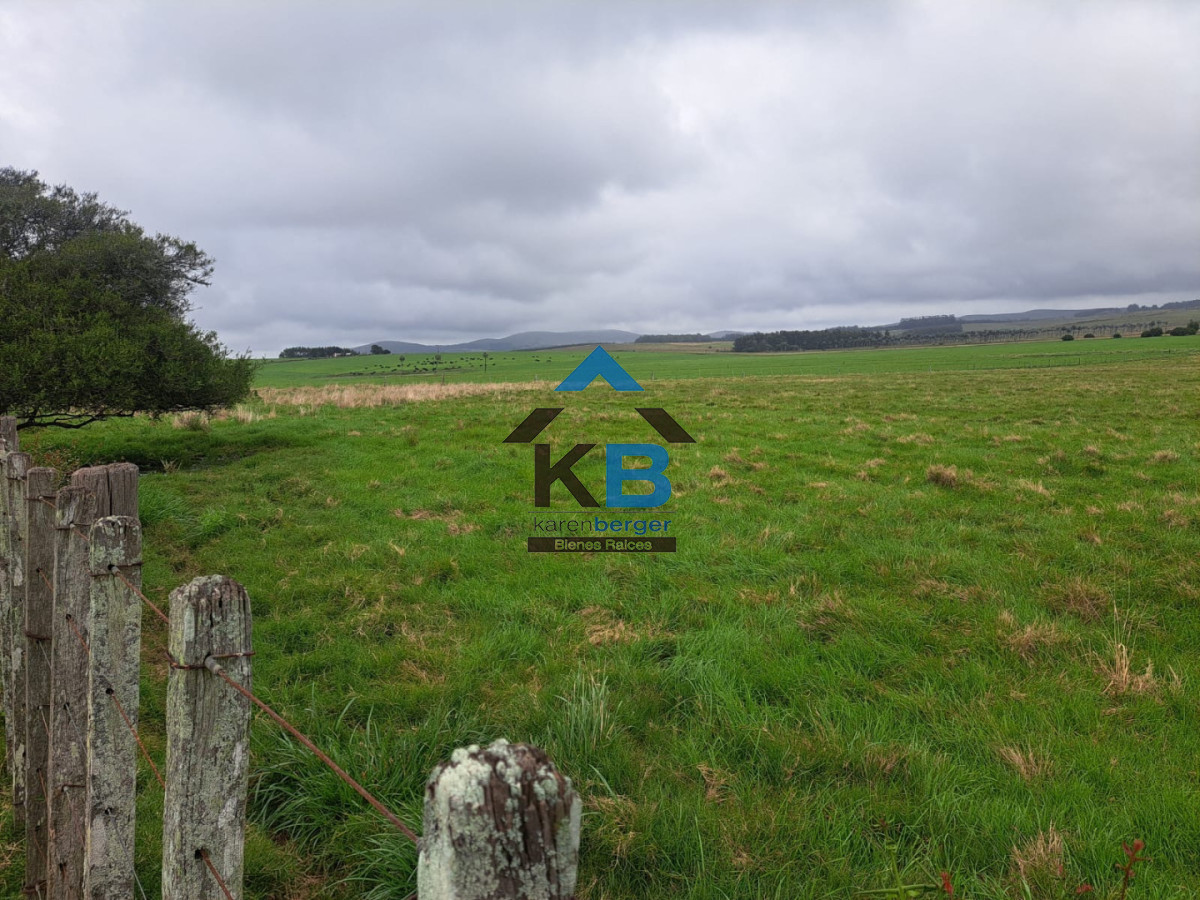 Campo Ref.623 - Campo agrícola ganadero 