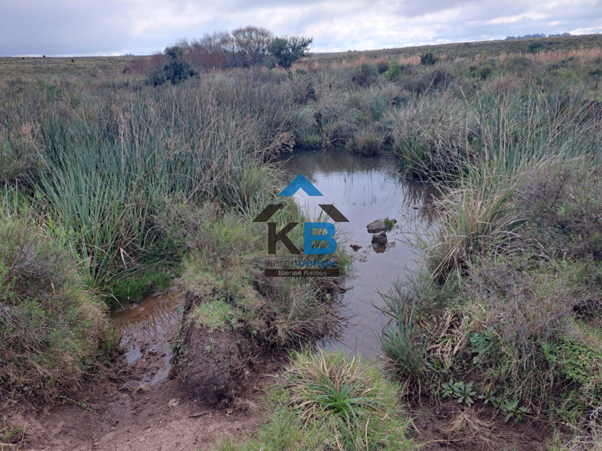 Campo Ref.634 - Venta campo José Ignacio 
