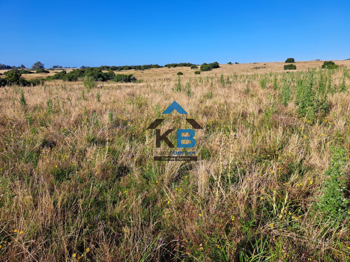 Campo Ref.625 - Campo José Ignacio 