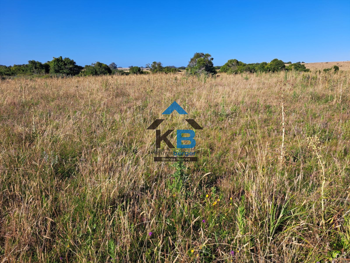 Campo Ref.625 - Campo José Ignacio 