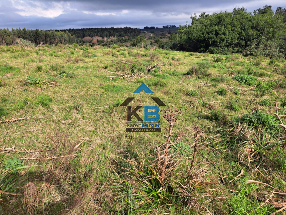 Campo Ref.634 - Venta campo José Ignacio 