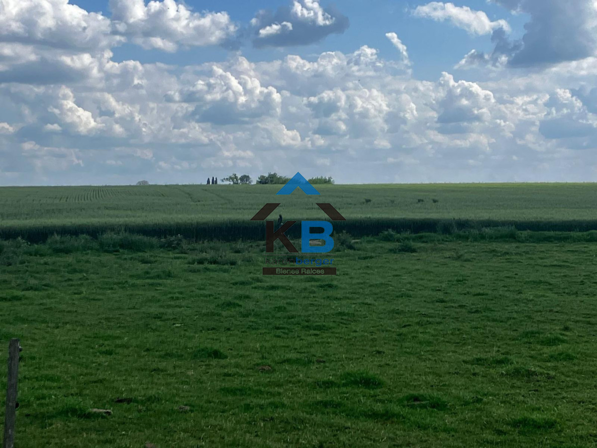 Campo Ref.684 - Campo en Paysandu Río Uruguay