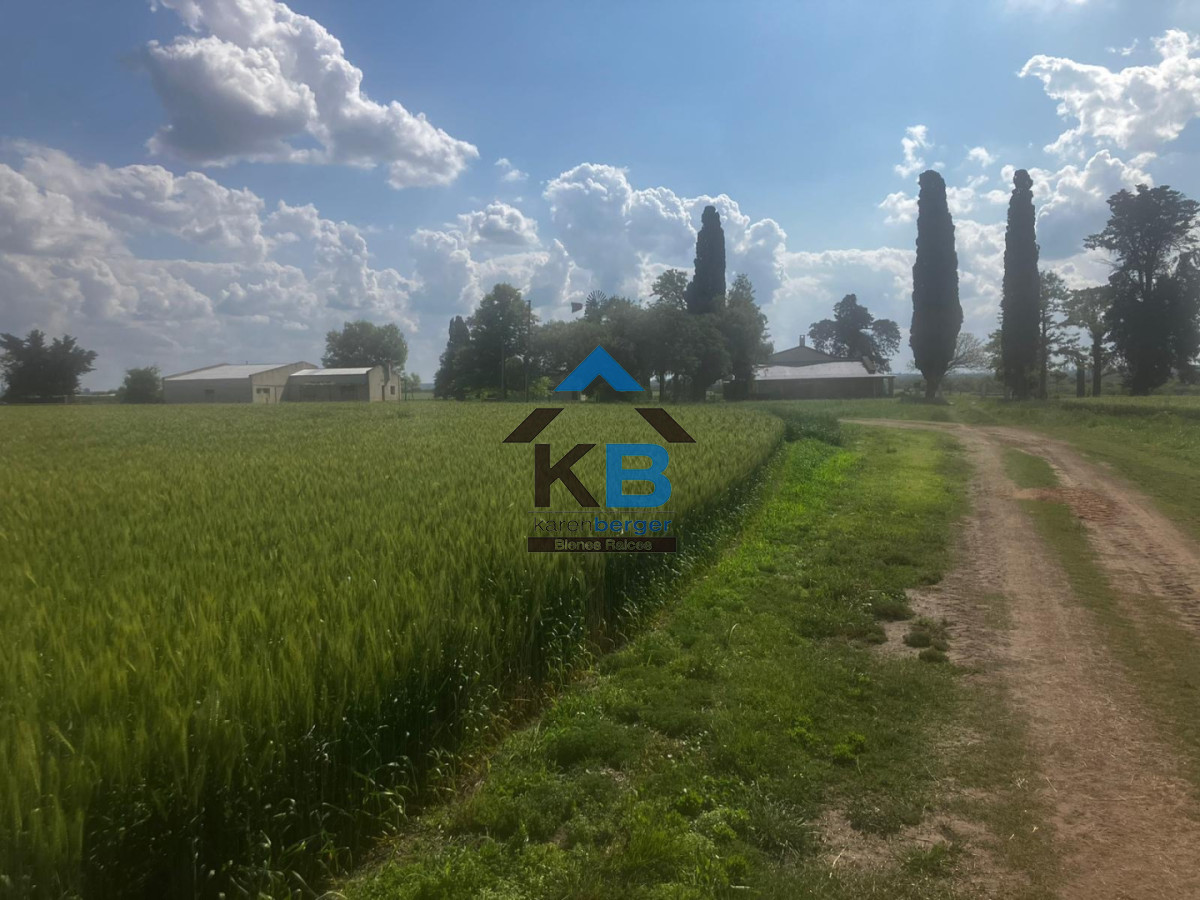 Campo Ref.684 - Campo en Paysandu Río Uruguay