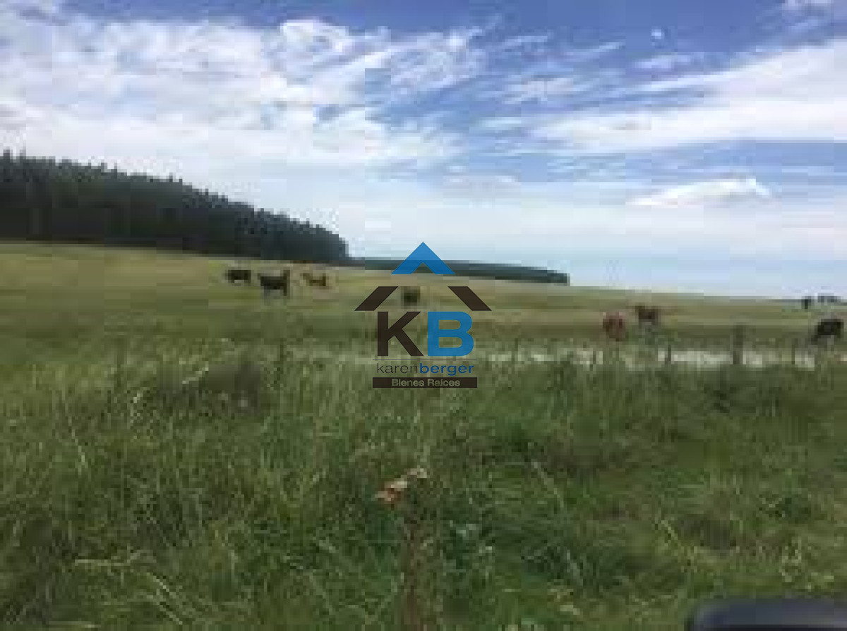 Campo Ref.580 - Venta de Campo en Paysandu 