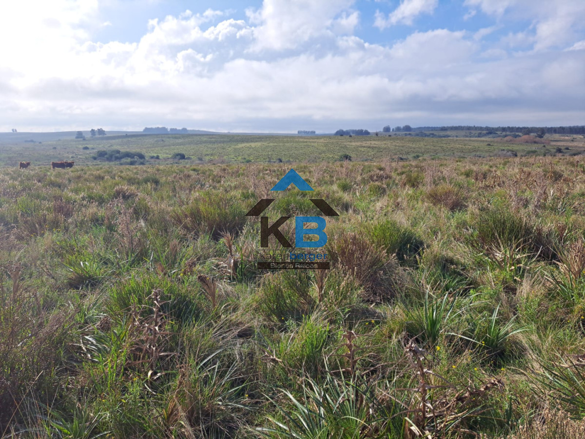 Campo Ref.634 - Venta campo José Ignacio 