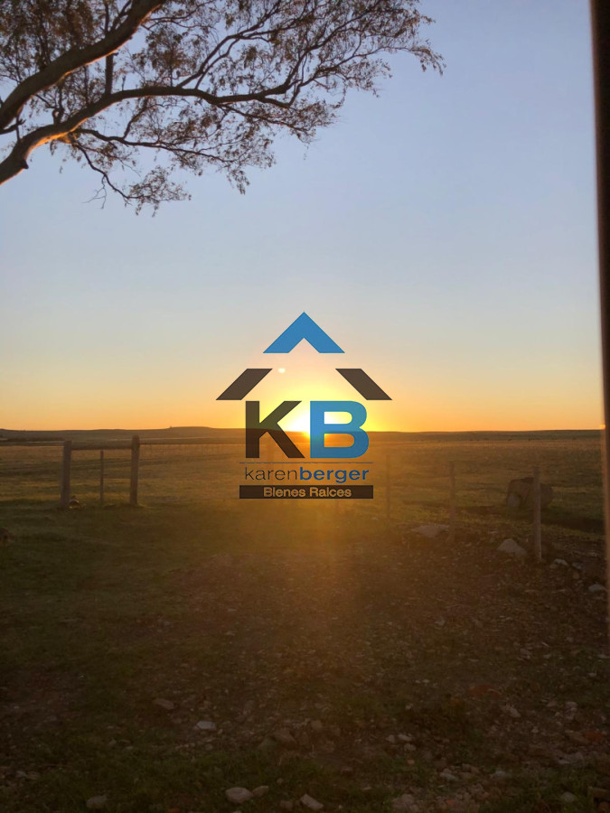 Campo Ref.678 - Artigas venta de campo