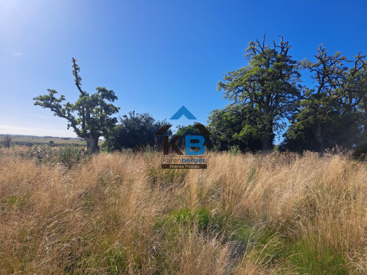 Campo Ref.625 - Campo José Ignacio 