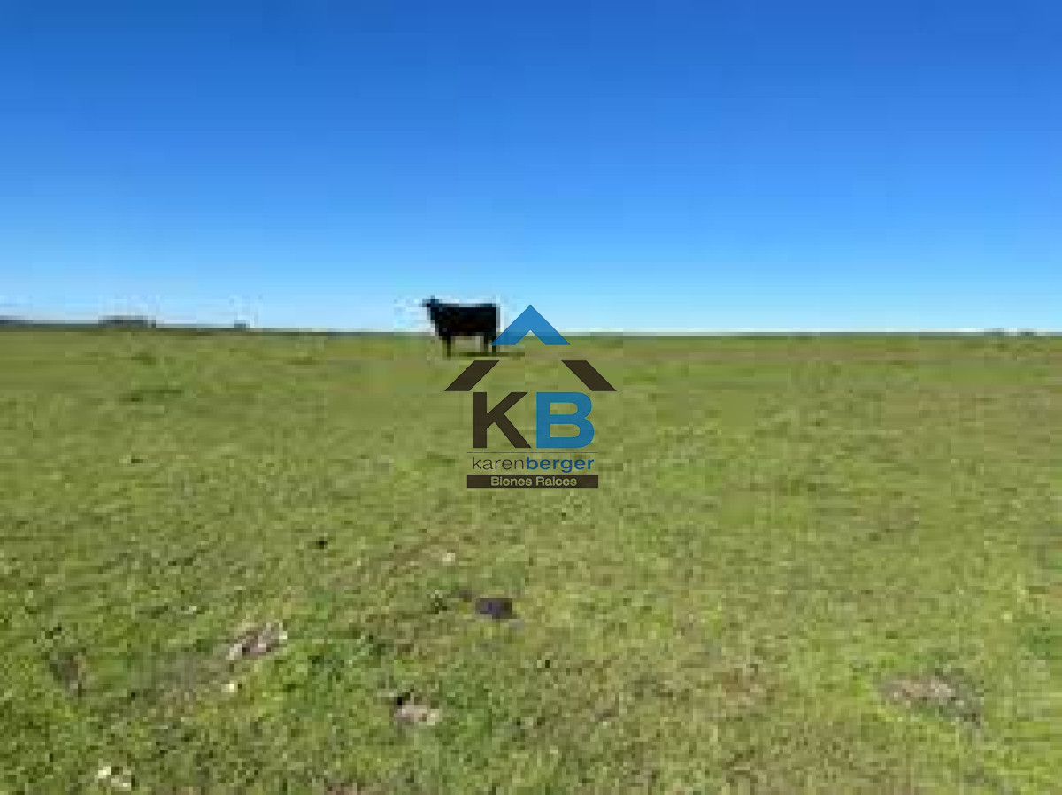 Campo Ref.580 - Venta de Campo en Paysandu 