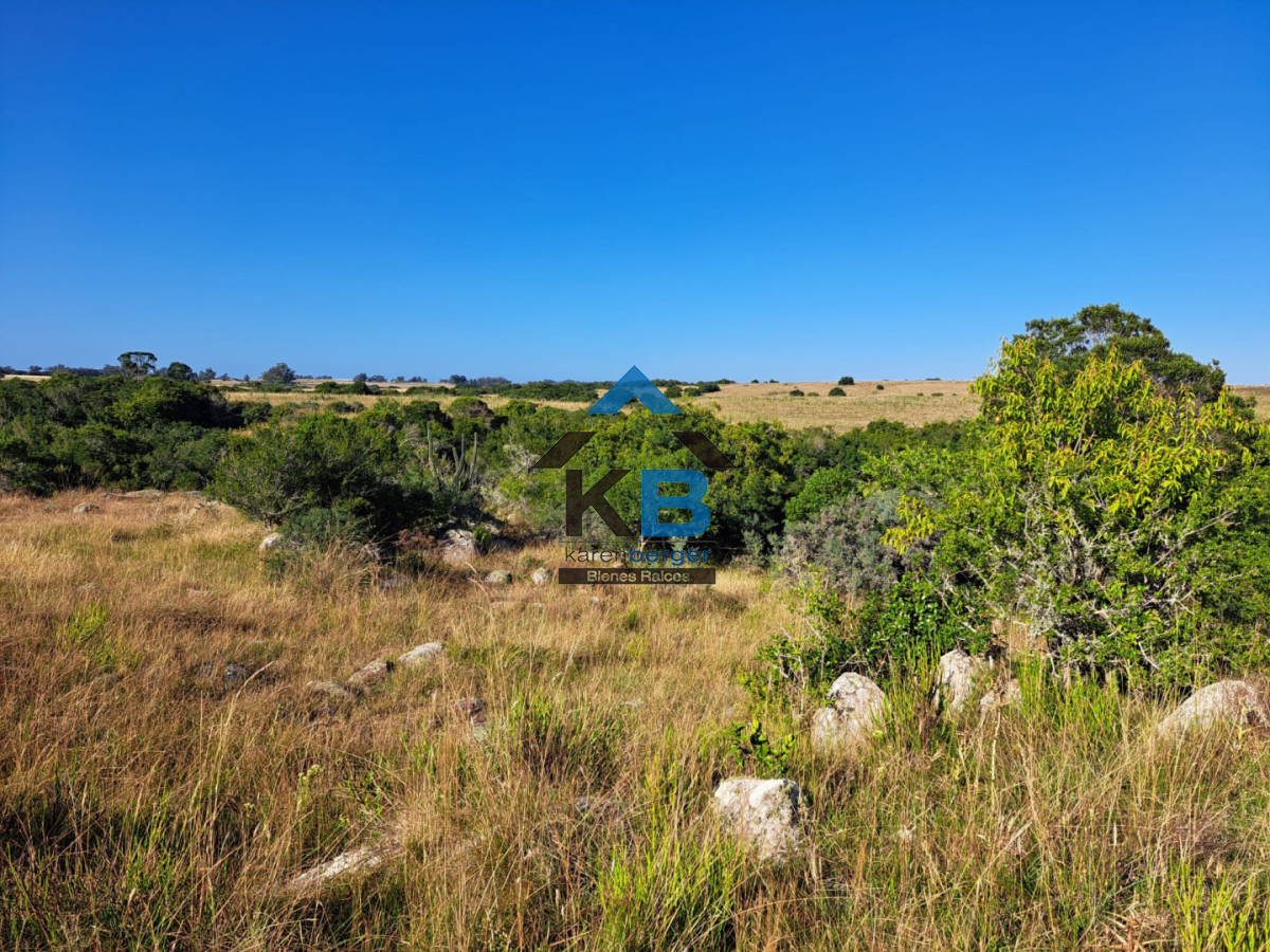 Campo Ref.625 - Campo José Ignacio 