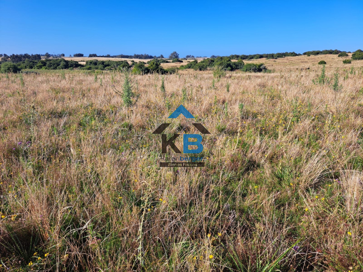 Campo Ref.625 - Campo José Ignacio 