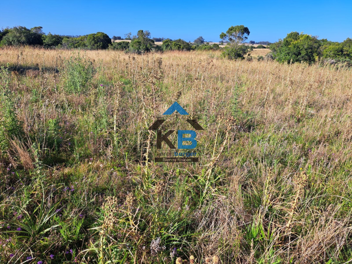 Campo Ref.625 - Campo José Ignacio 