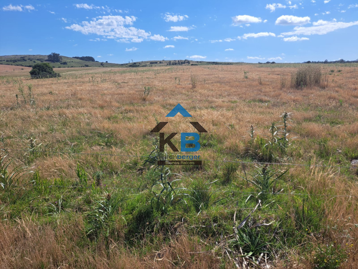 Campo Ref.620 - Venta de campo en Rocha