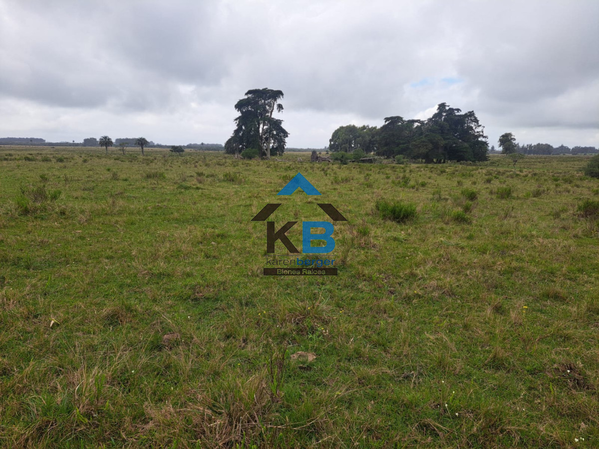 Campo Ref.623 - Campo agrícola ganadero 